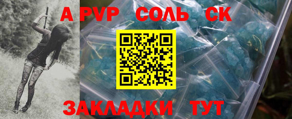 A PVP СК КРИС Пенза