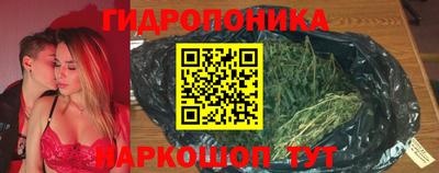 ECSTASY Канаш