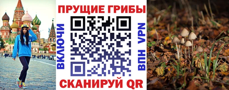 даркнет сайт  Пенза  Псилоцибиновые грибы ЛСД 