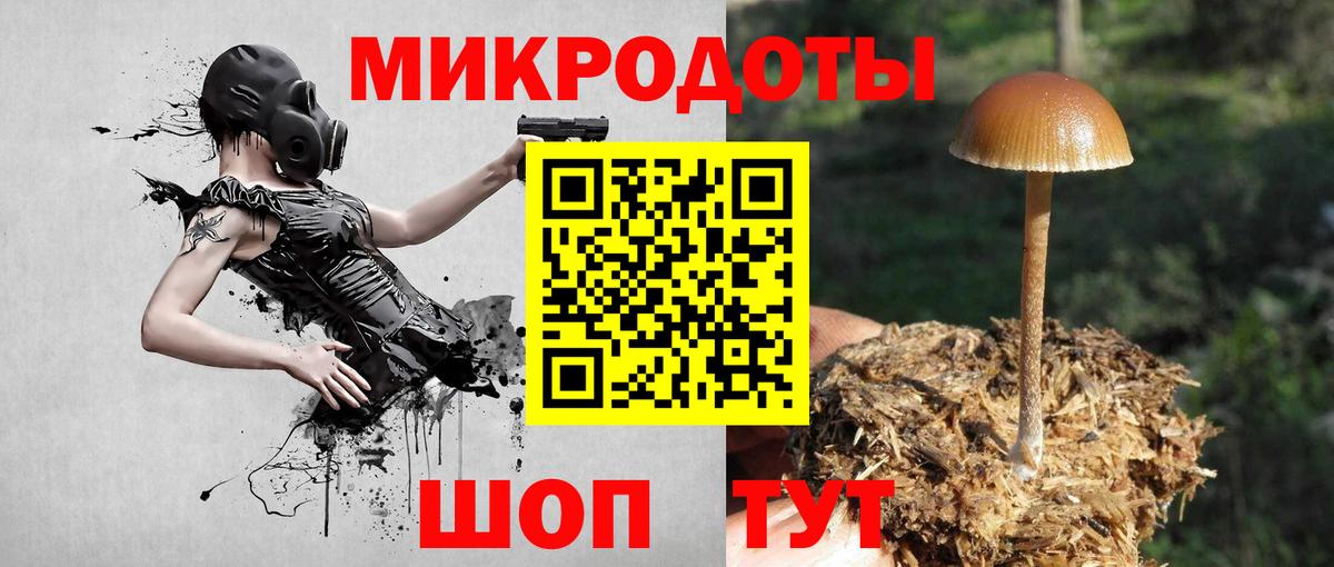 Псилоцибиновые грибы Magic Shrooms  Вход с VPN  Пенза 
